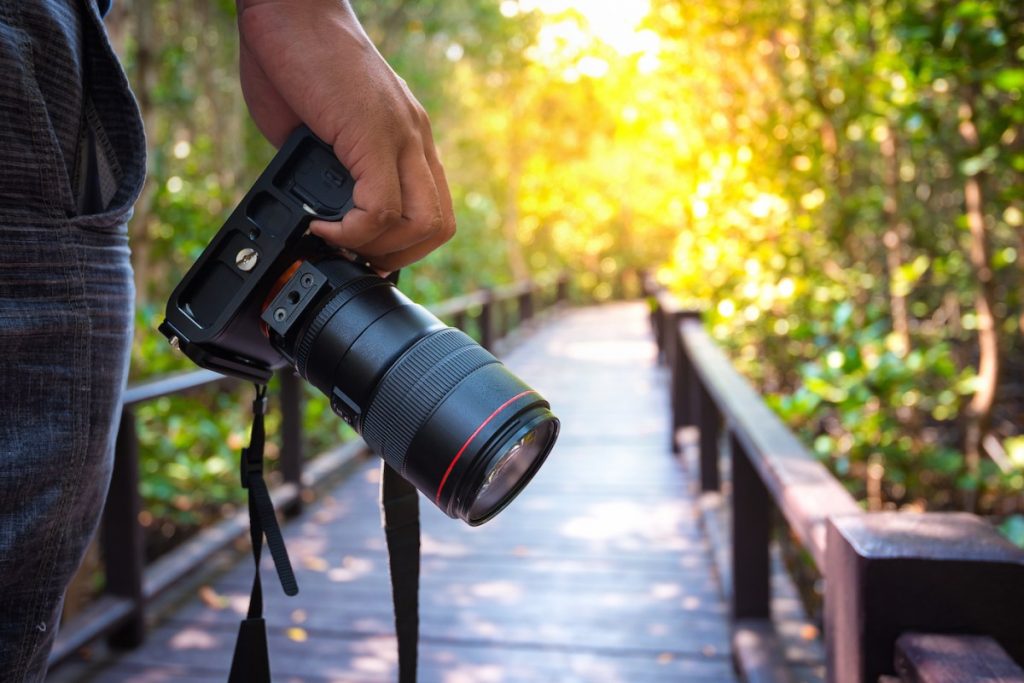 Três modelos de câmera DSLR com o melhor custo benefício para o seu bolso em 2021