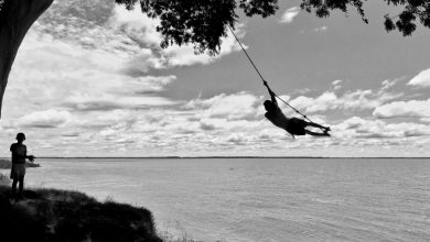 A imagem do fotógrafo Diogo Thompson Façanha Ribeiro, da cidade de Manaus/AM, foi eleita a Foto do Dia