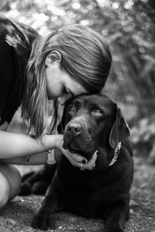 Fotógrafa oferece ensaios fotográficos gratuitos para pessoas se despedirem, pela última vez, dos seus cães e animais de estimação