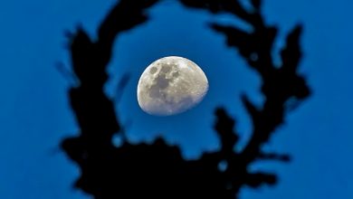 A imagem "A Lua na Moldura", do fotógrafo Antônio Lopes Marin Junior, da cidade de São Paulo/SP, foi eleita a Foto do Dia.