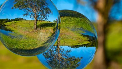 A imagem "Bola de Cristal", da fotógrafa Silvana Fernandes Bittencourt, da cidade de Canoas/RS, foi eleita a Foto do Dia.