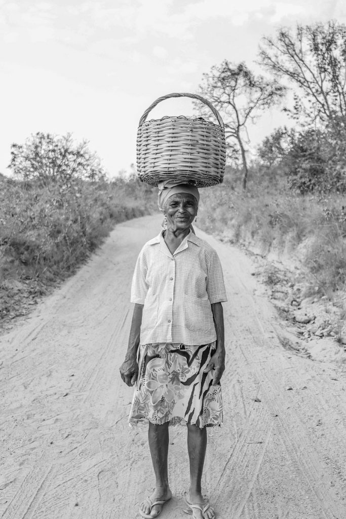 A imagem do fotógrafo Wágner Moreira Pena, da cidade de Couto de Magalhães de Minas/MG, foi eleita a Foto do Dia.