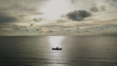 Com 12.500 votos, 36,54% do total dos votos, o fotógrafo Pablo Roniere, da cidade de Belém, do Estado do Pará, foi eleito o Fotógrafo do Mês