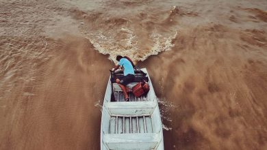 A imagem do fotógrafo Diogo Thompson Façanha Ribeiro, da cidade de Manaus/AM, foi eleita a Foto do Dia.