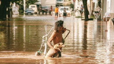 O fotógrafo Douglas Maia Ribeiro é o vencedor do Concurso Foto do Dia