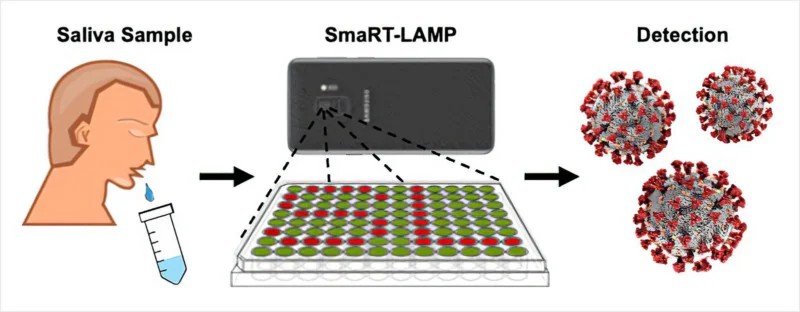 Cientistas criam teste de COVID que usa câmera de smartphone