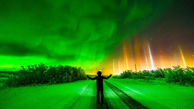 Autorretrato: fotógrafo brasileiro faz captura espetacular da Aurora Boreal e pilares de luz e é publicado pela NASA