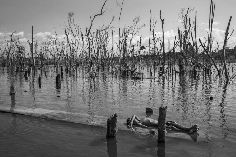 O fotógrafo brasileiro Lalo de Almeida venceu a etapa regional do World Press Photo