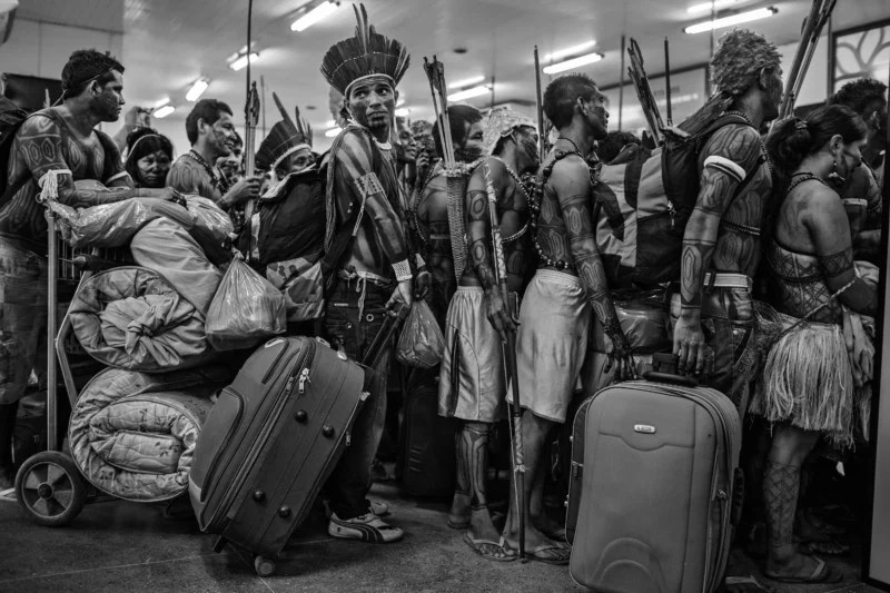 O fotógrafo brasileiro Lalo de Almeida venceu a etapa regional do World Press Photo