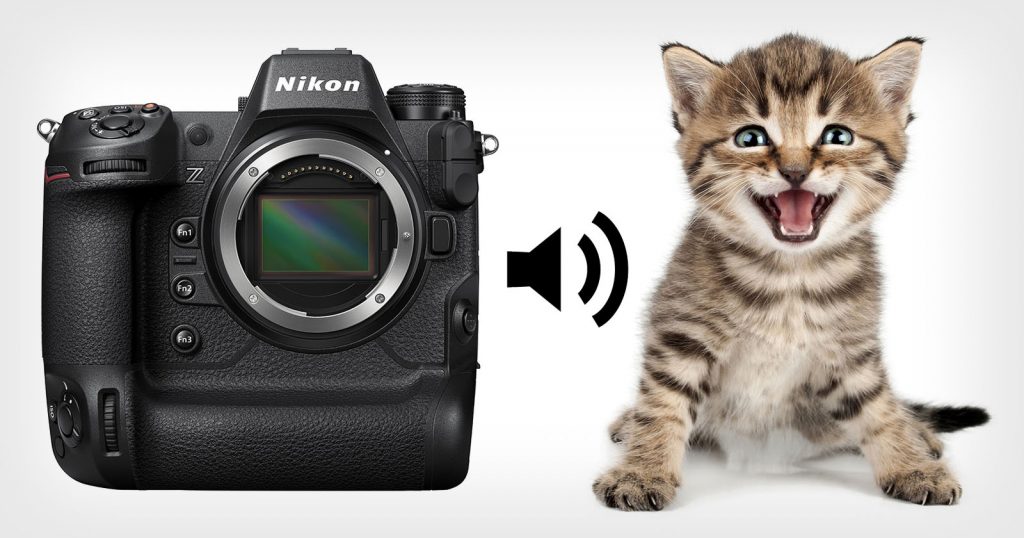 Câmera Nikon permite colocar miado de um gato para o som do obturador