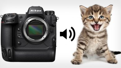 Câmera Nikon permite colocar miado de um gato para o som do obturador