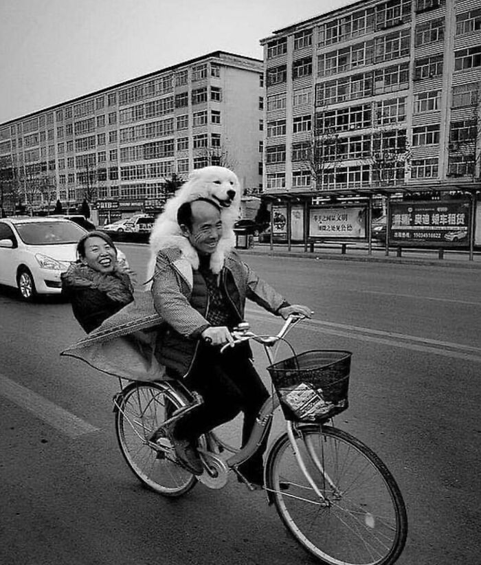 Fotografia de rua: 20 imagens super divertidas do momento decisivo