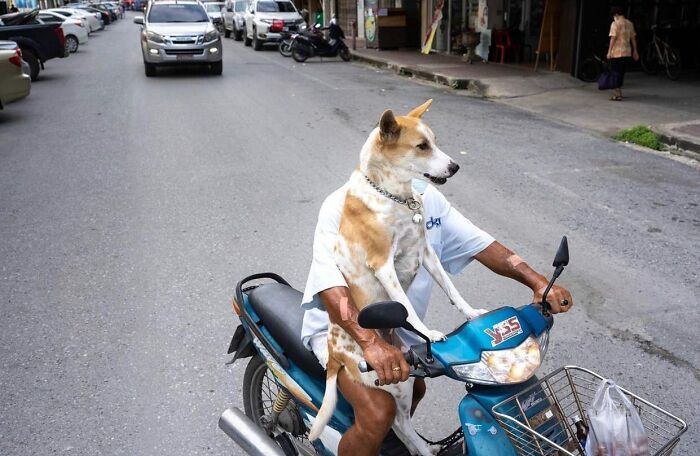 Fotografia de rua: 20 imagens super divertidas do momento decisivo