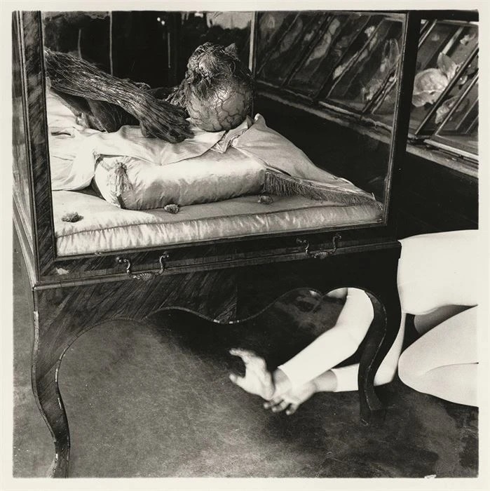 Francesca Woodman: fotos inéditas e nunca vistas antes de uma das fotógrafas mais sedutoras do século XX