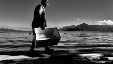 A imagem do fotógrafo Roberto Svolenski, da cidade de Novo Horizonte/SP, foi eleita a Foto do Dia