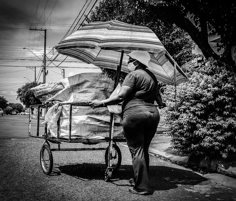 A imagem "Resiliência", da fotógrafa Ana Cláudia Talieri, da cidade de Jaú/SP, foi eleita a Foto do Dia.