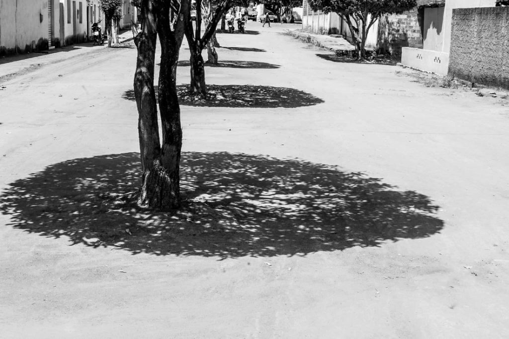 A imagem da fotógrafa Cris Teles, da cidade de Rumo Itaetê/BA, foi eleita a Foto do Dia