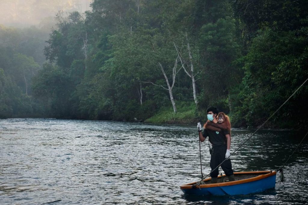 concurso internacional de fotografia Global Peace Photo Award