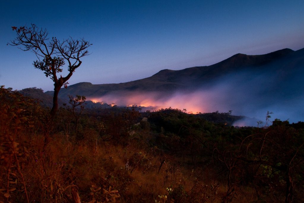 Wiki Loves Earth - foto: Robson de Oliveira