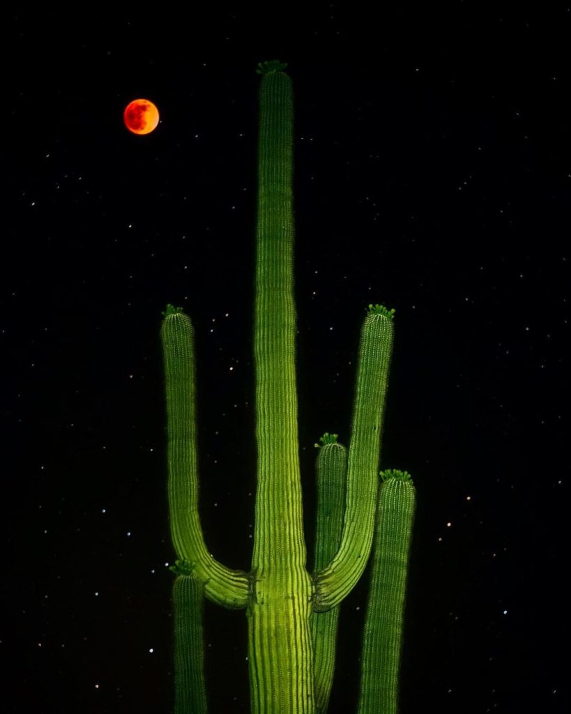 eclipse total da Lua