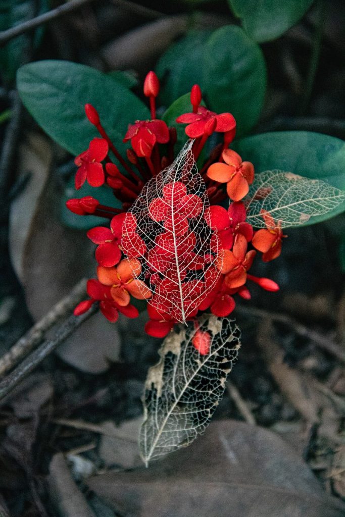 O fotógrafo Paulo Marques é o vencedor do Concurso Foto do Dia