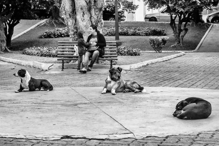 fotógrafo Carlos Casela