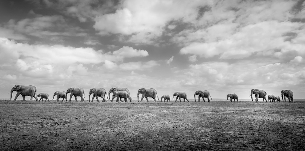 Fotos panorâmicas: as imagens mais impressionantes de 2022