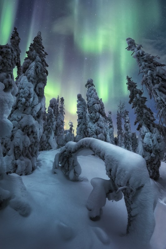 As melhores fotos da aurora boreal em 2022