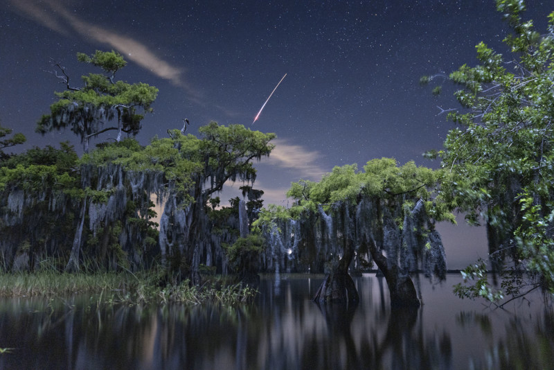 As melhores fotos do ano da National Geographic