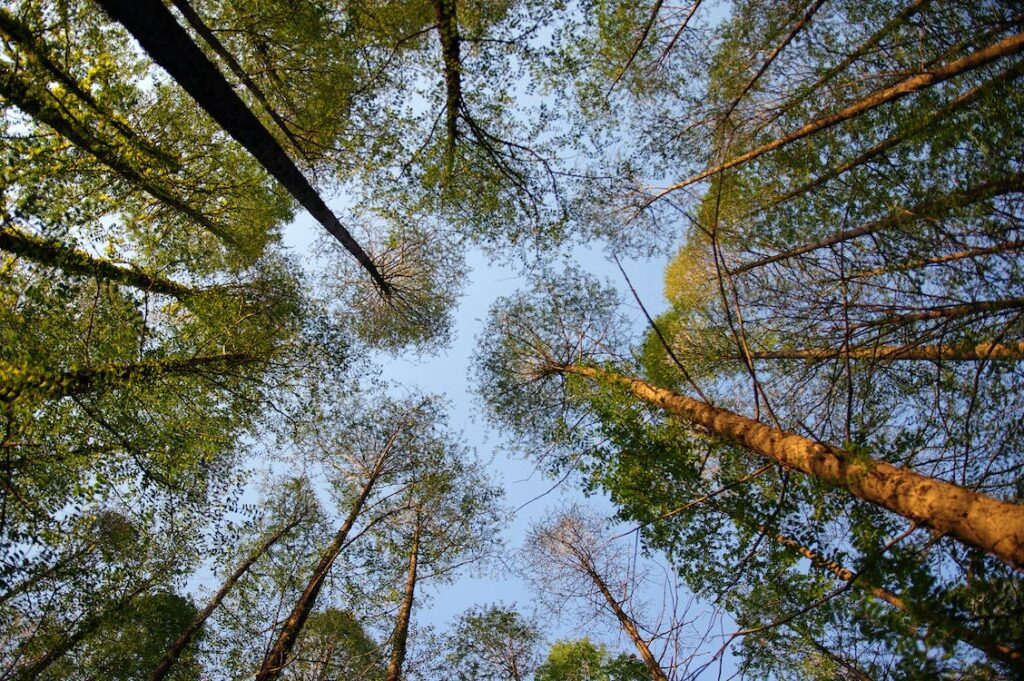 melhorar a composição de fotos de paisagem