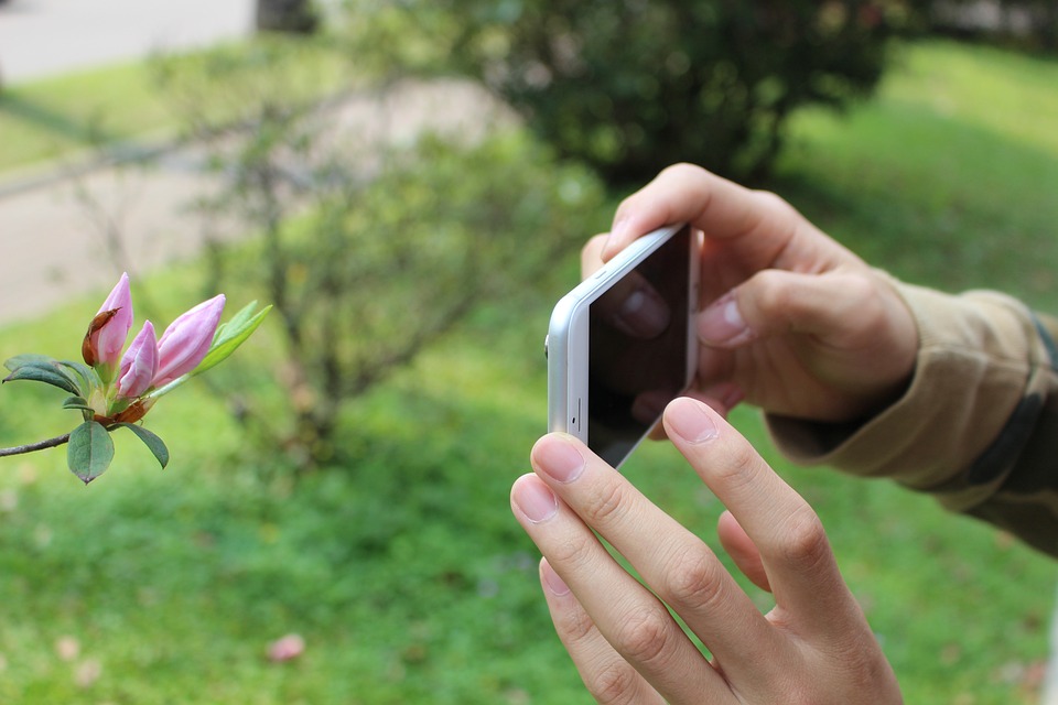 Fotografar com celular: dicas e truques para fotógrafos iniciantes