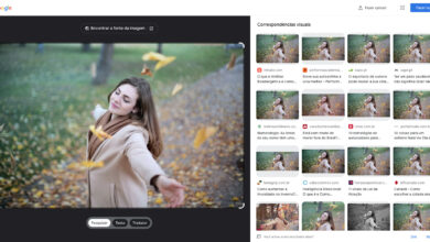 Pesquisa reversa de imagens do Google: descubra se suas fotos foram roubadas