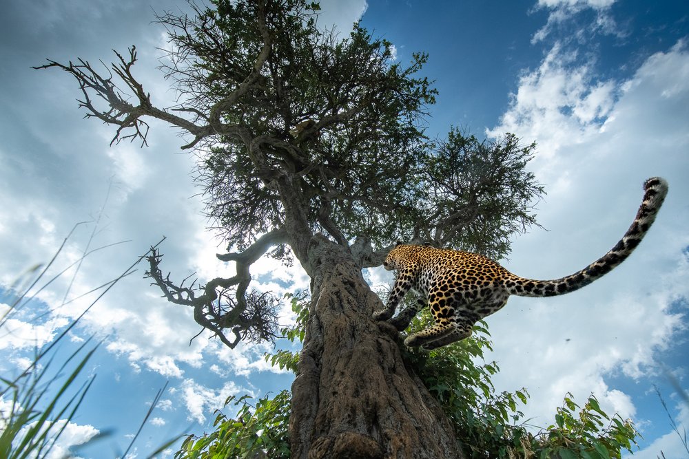 melhores fotos de natureza