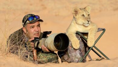 O assistente desse fotógrafo é muito fera, um filhote de leão