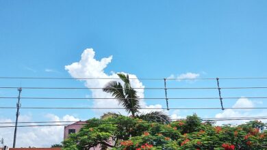 A fotógrafa Silvana Bittencourt foi eleita a Melhor Fotógrafa do Dia