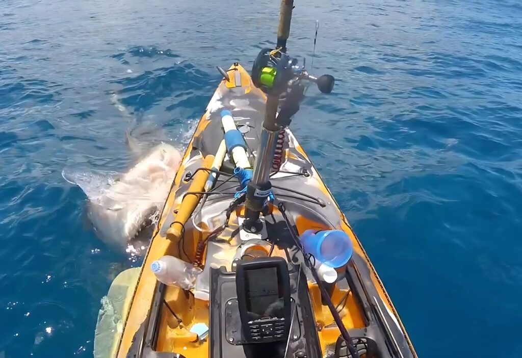 GoPro captura vídeo impressionante do ataque de um grande tubarão a um pescador indefeso