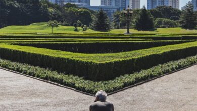 O fotógrafo Felipe FotoPro foi eleito o Melhor Fotógrafo do Dia